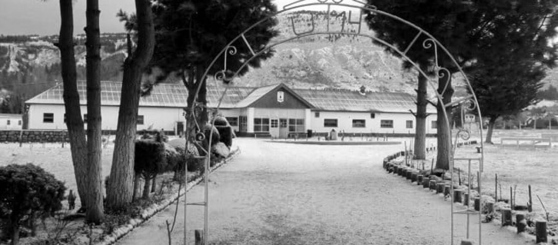 183257266_10220882435626543_8606023672079717682_n