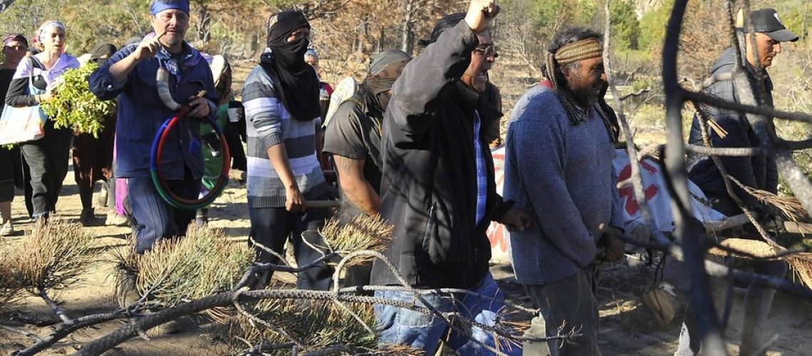 292429-elias-20telam