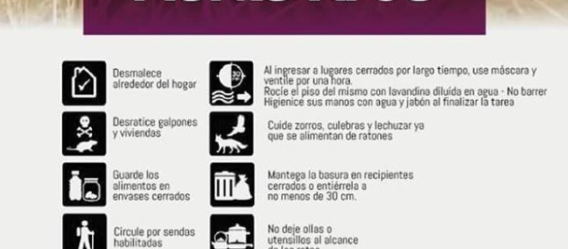 Captura de pantalla 2022-07-13 181412