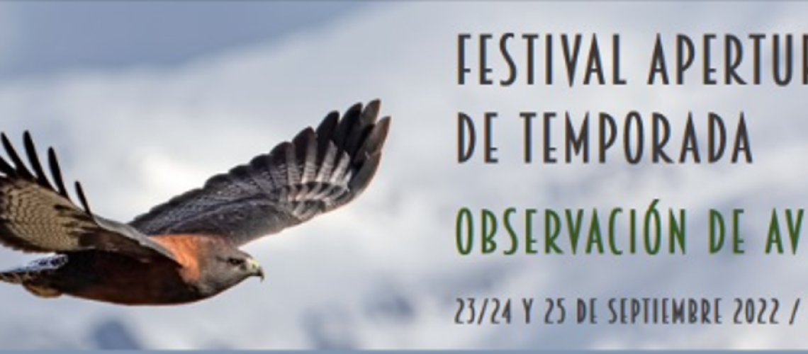 Captura de pantalla 2022-09-08 171946