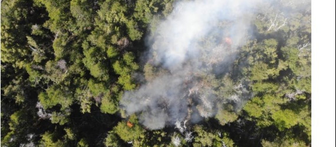 Captura de pantalla 2022-12-26 233615