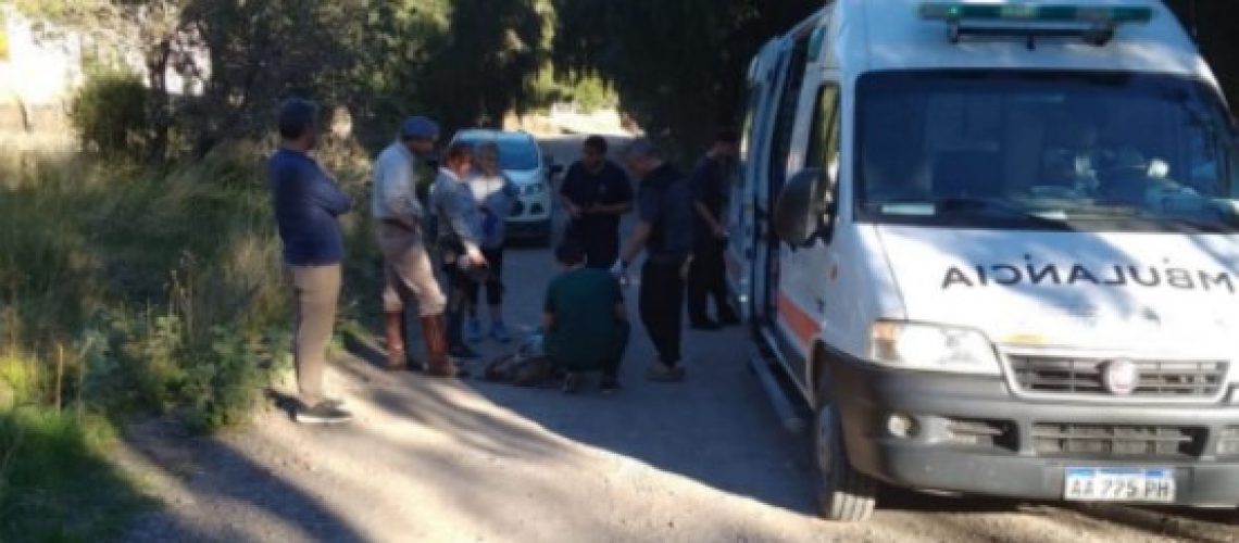 Captura de pantalla 2024-04-06 145041