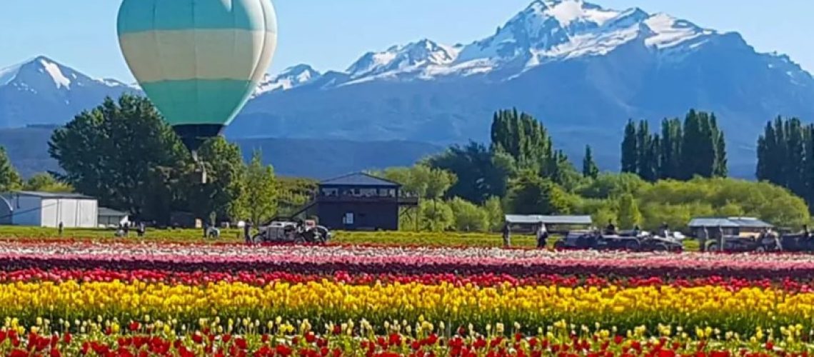 Captura de pantalla 2024-10-07 225436