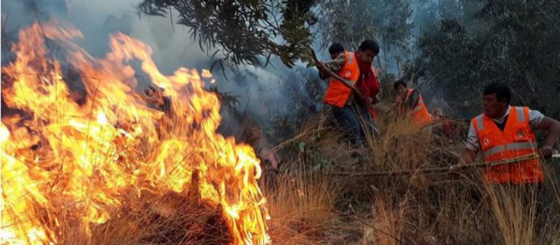 Captura de pantalla 2026-01-08 190221