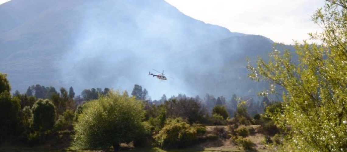 Captura de pantalla 2026-02-26 113730