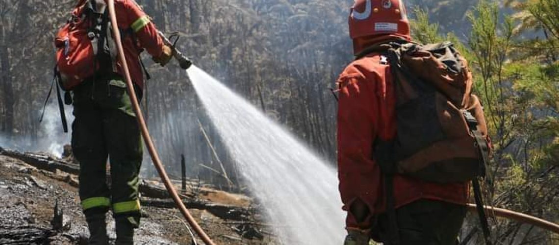 FB_IMG_1645145886214