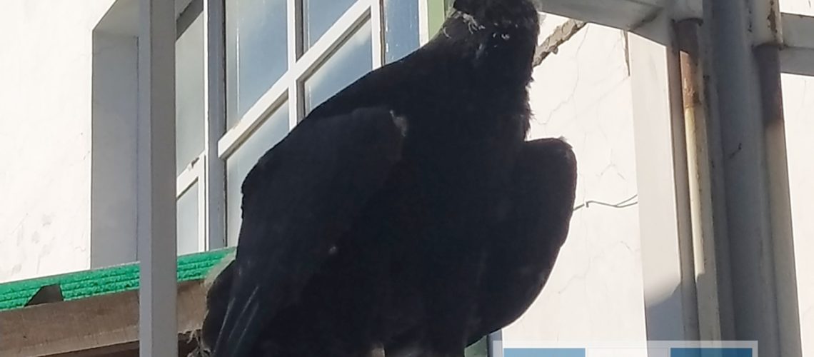 PicsArt_12-22-07.58.12