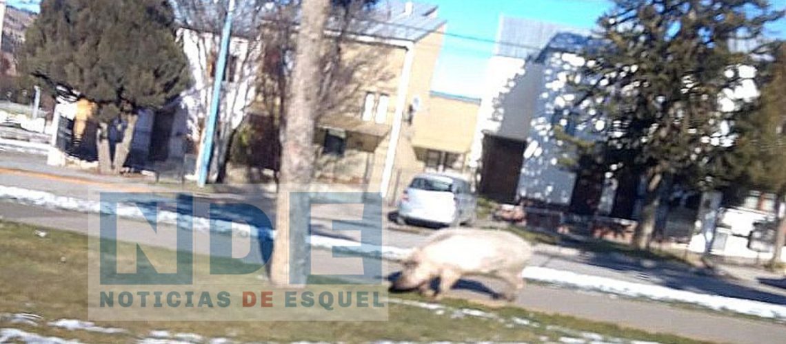 Picsart_22-05-28_13-50-52-218