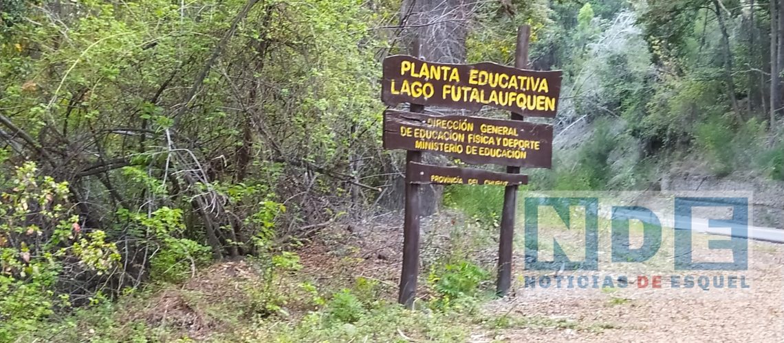 Picsart_22-10-19_13-04-20-831