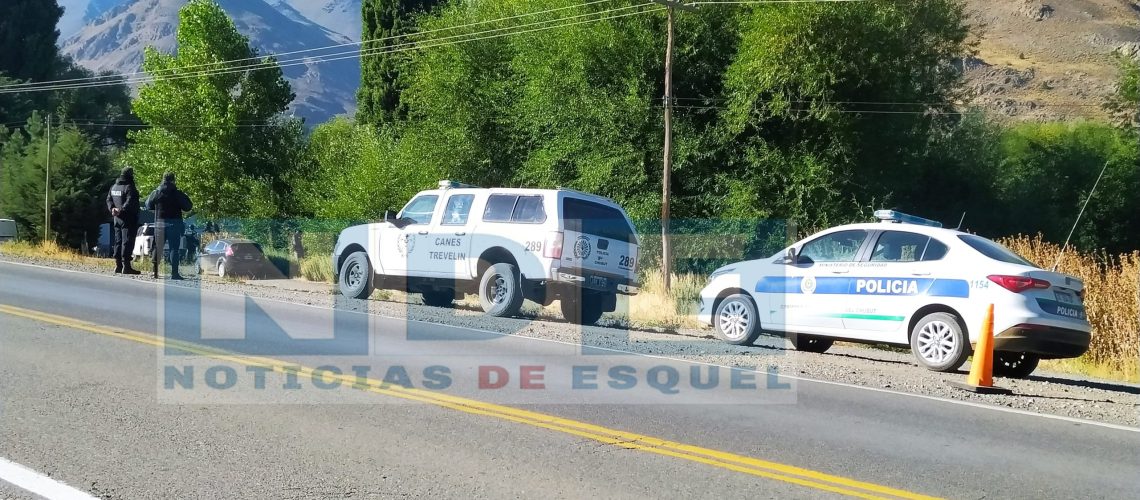 Picsart_23-02-01_10-02-29-381 Picsart_23-02-01_10-02-29-381