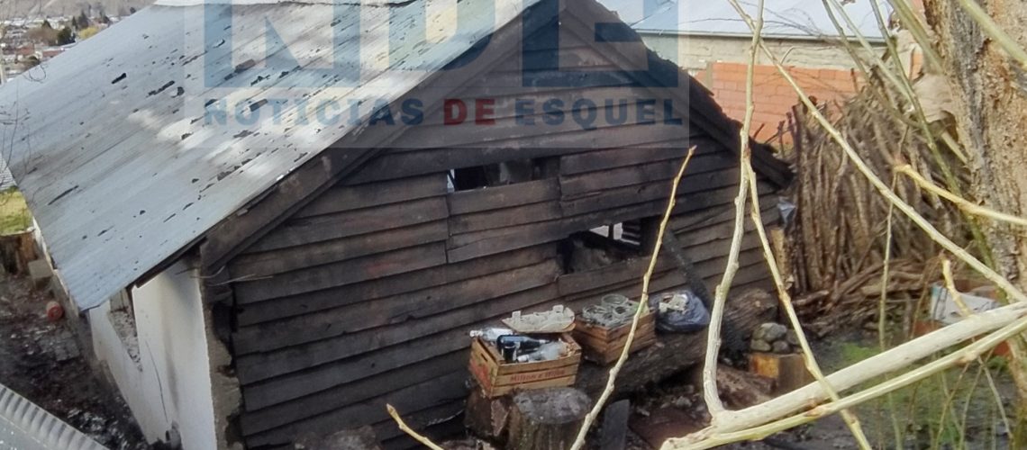 Picsart_23-07-01_11-30-20-444