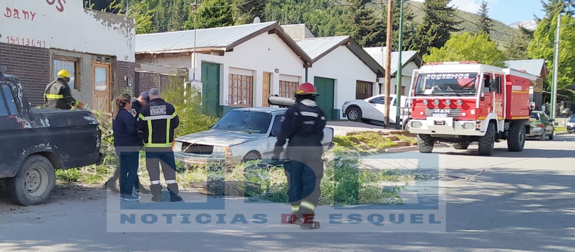 Picsart_23-11-15_19-04-57-846