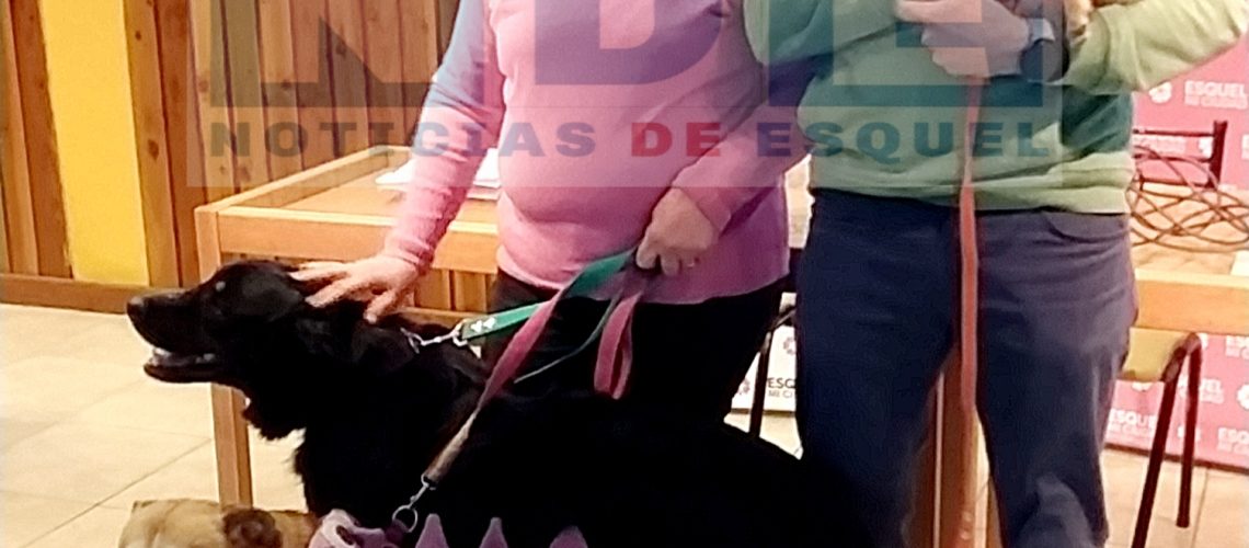 {"remix_data":[],"remix_entry_point":"challenges","source_tags":["local"],"origin":"unknown","total_draw_time":0,"total_draw_actions":0,"layers_used":0,"brushes_used":0,"photos_added":0,"total_editor_actions":{},"tools_used":{},"is_sticker":false,"edited_since_last_sticker_save":false,"containsFTESticker":false}
