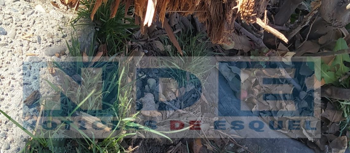 {"remix_data":[],"remix_entry_point":"challenges","source_tags":["local"],"origin":"unknown","total_draw_time":0,"total_draw_actions":0,"layers_used":0,"brushes_used":0,"photos_added":0,"total_editor_actions":{},"tools_used":{},"is_sticker":false,"edited_since_last_sticker_save":false,"containsFTESticker":false}