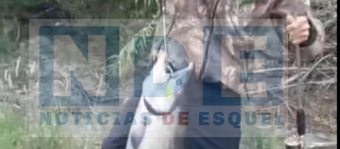 {"remix_data":[],"remix_entry_point":"challenges","source_tags":["local"],"origin":"unknown","total_draw_time":0,"total_draw_actions":0,"layers_used":0,"brushes_used":0,"photos_added":0,"total_editor_actions":{},"tools_used":{},"is_sticker":false,"edited_since_last_sticker_save":false,"containsFTESticker":false}