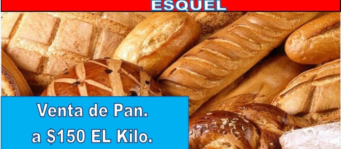 WhatsApp Image 2022-04-24 at 2.50.15 PM