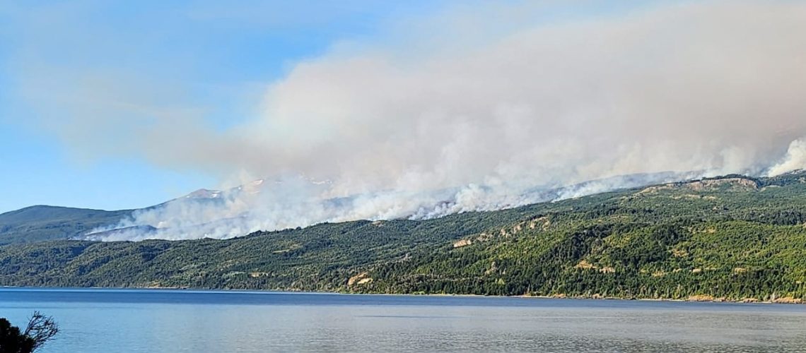 WhatsApp Image 2024-01-27 at 8.49.57 PM