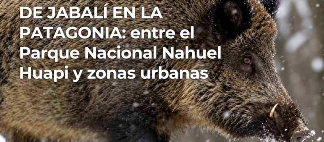 image_9de16f6