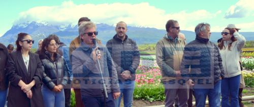13-10-2025 tulipanes