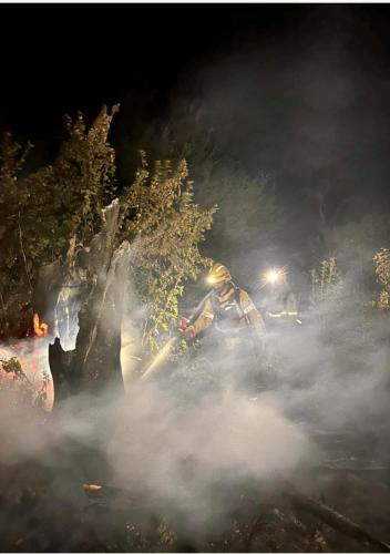 22-2-2025 parte incendio PNLA