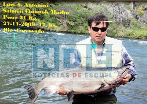 salmón del pacifico chinook corcovado