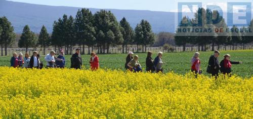 7-10-2024 tulipanes apertura