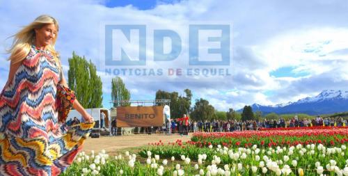 21-10-2024 soledad solaro