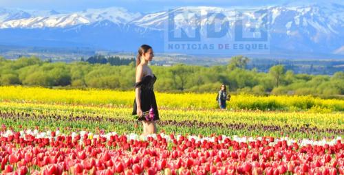 20-10-2024 trevelin fashion week campo de tulipanes